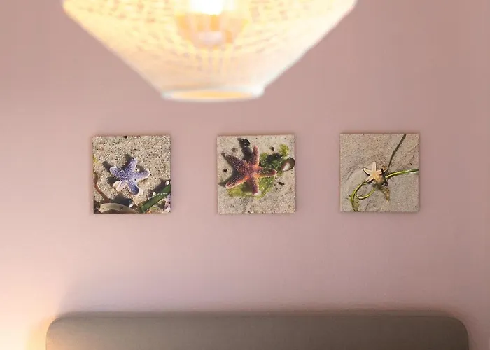 公寓 Hang 13 Moewenblick 沙博伊茨